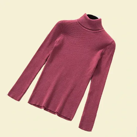 Women Turtleneck Sweaters Fashion Spring